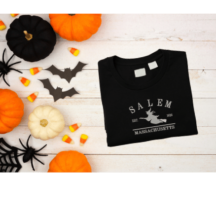 Salem embroidered sweatshirt